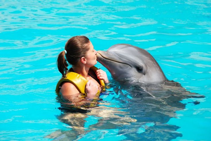 Swimming with Dolphins in Punta Cana – Hotel Lopesan Costa Bávaro Resort, Spa & Casino (Punta Cana)
